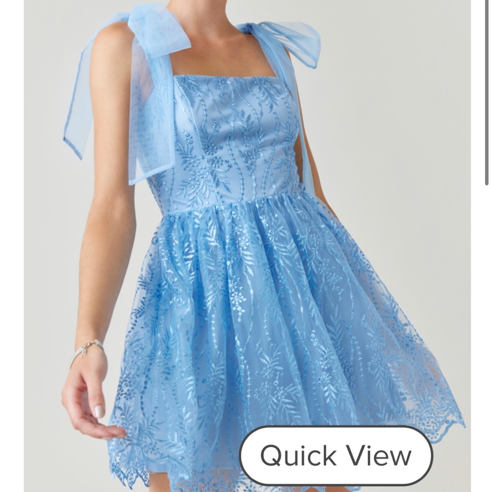 Blue embroidered mini dress